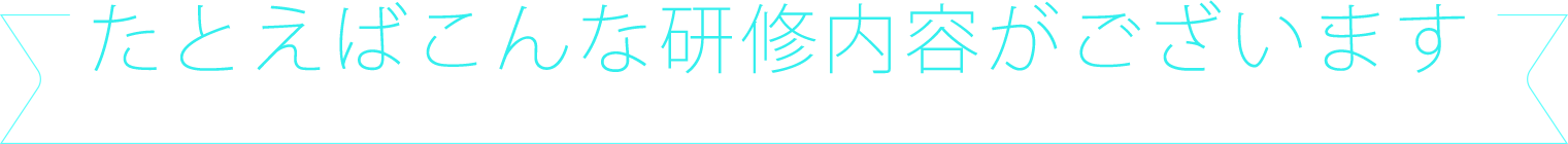 たとえばこんな研修内容がございます